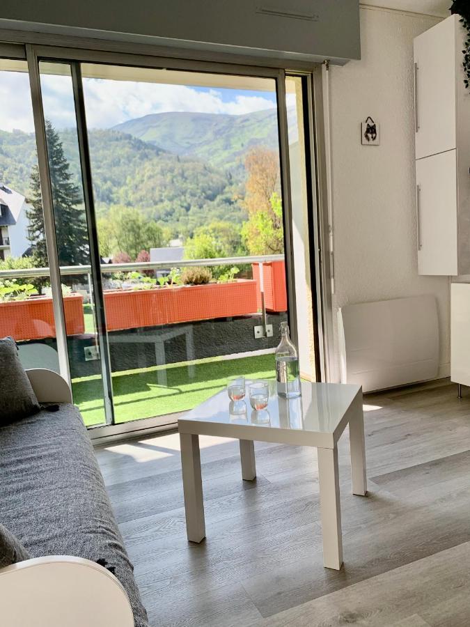 Gite 3*** Le Chardon Bleu Saint-Lary-Soulan Εξωτερικό φωτογραφία